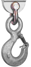EDxtreme Crane Scales - Non-Swivel Hook